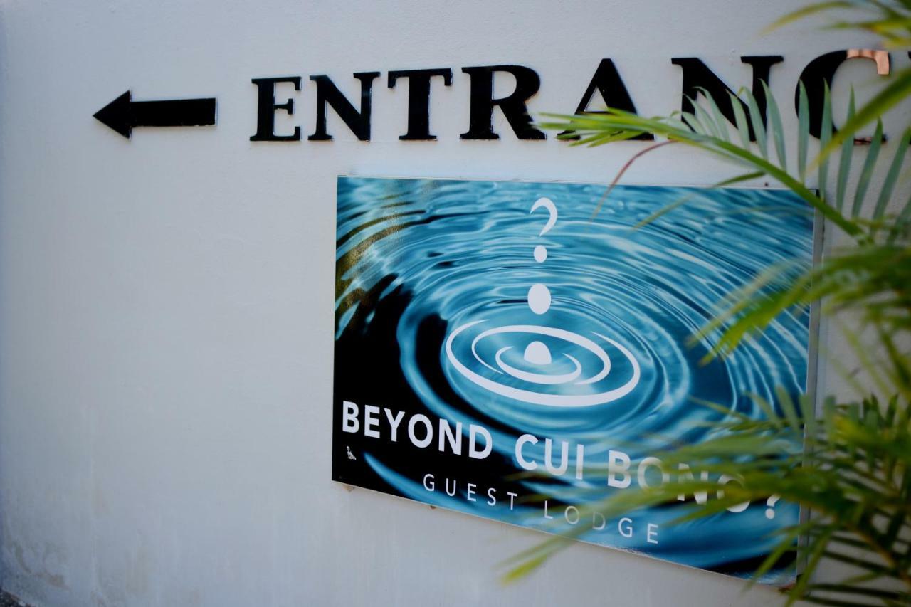 Beyond Cui Bono Guesthouse Addo Eksteriør billede